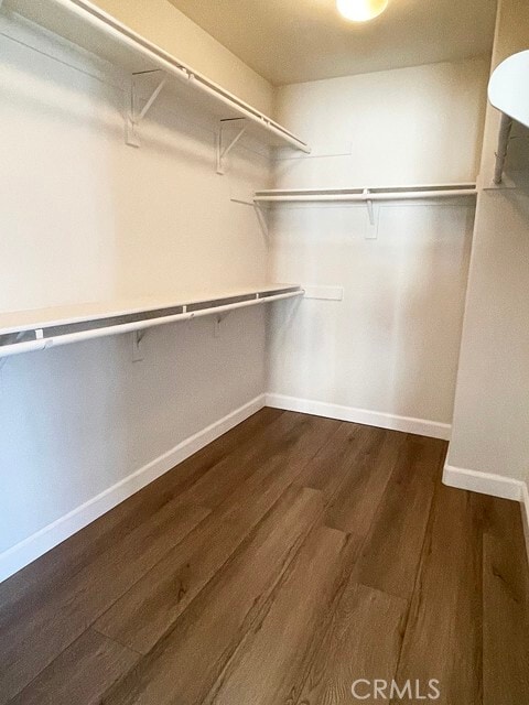 Building Photo - 7052 Starry Night Ct