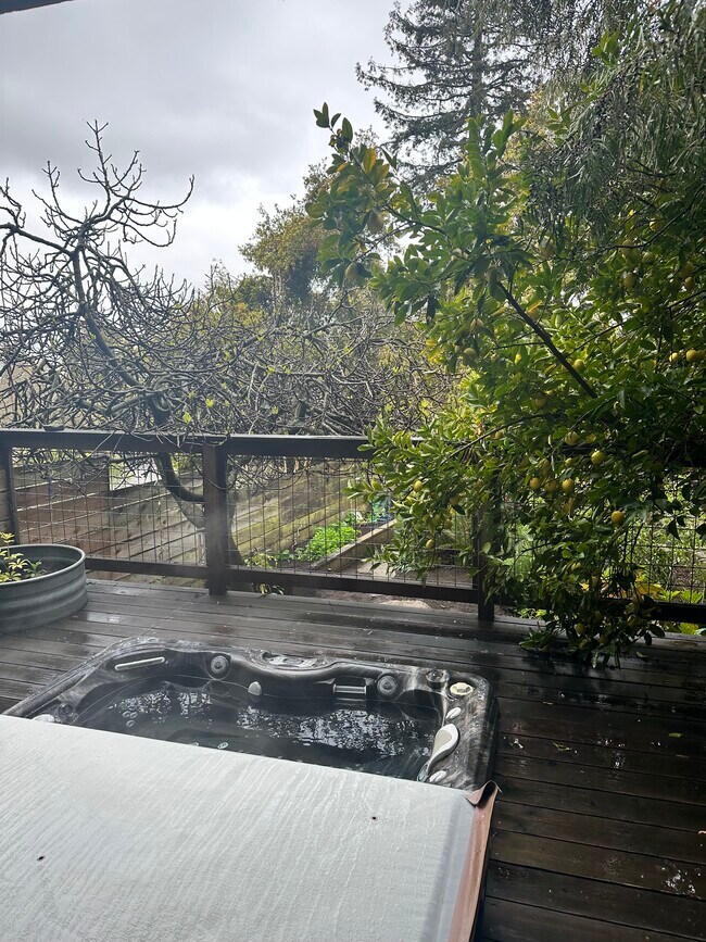 Building Photo - 890 Cragmont Ave