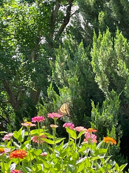 Building Photo - 2002 S Fork Dr