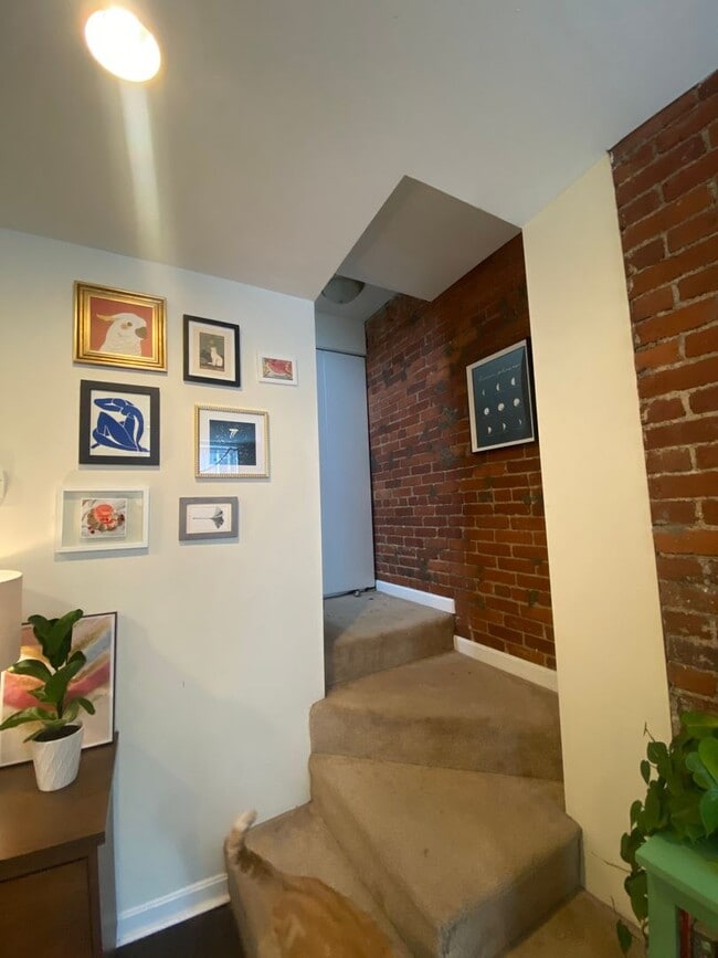 Building Photo - 2 BEDROOM IN THE SOUTHSIDE SLOPES- Available August 5!