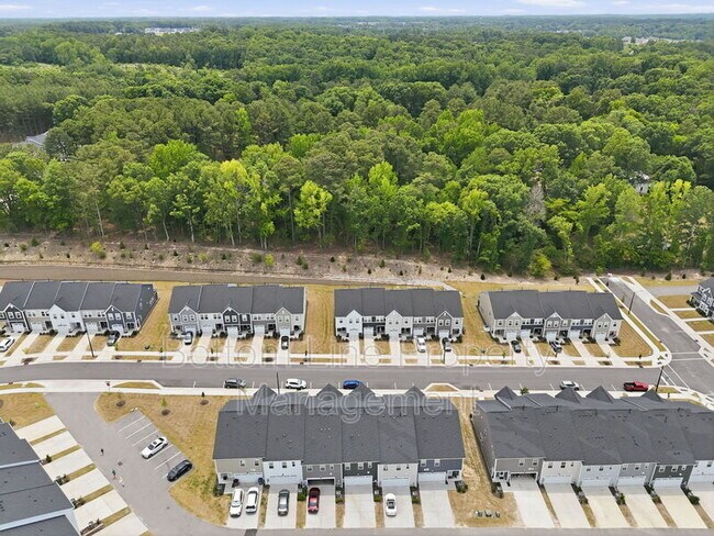 Building Photo - 1529 Foal Run Trl