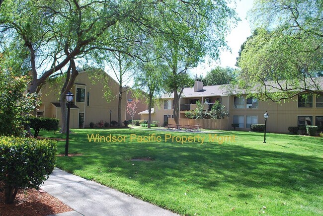 Building Photo - Updated, Bright, Spacious & Clean! Excellent Location at The Vintner in San Ramon