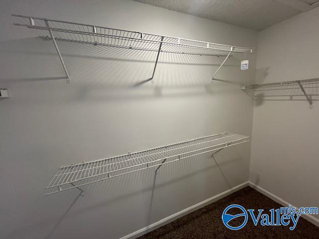 Building Photo - 2921 McDonald Dr SW