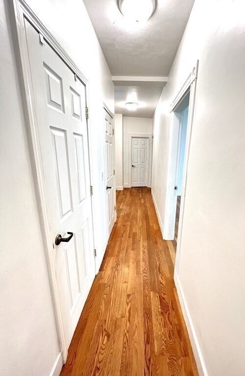 Building Photo - 29 Marney St