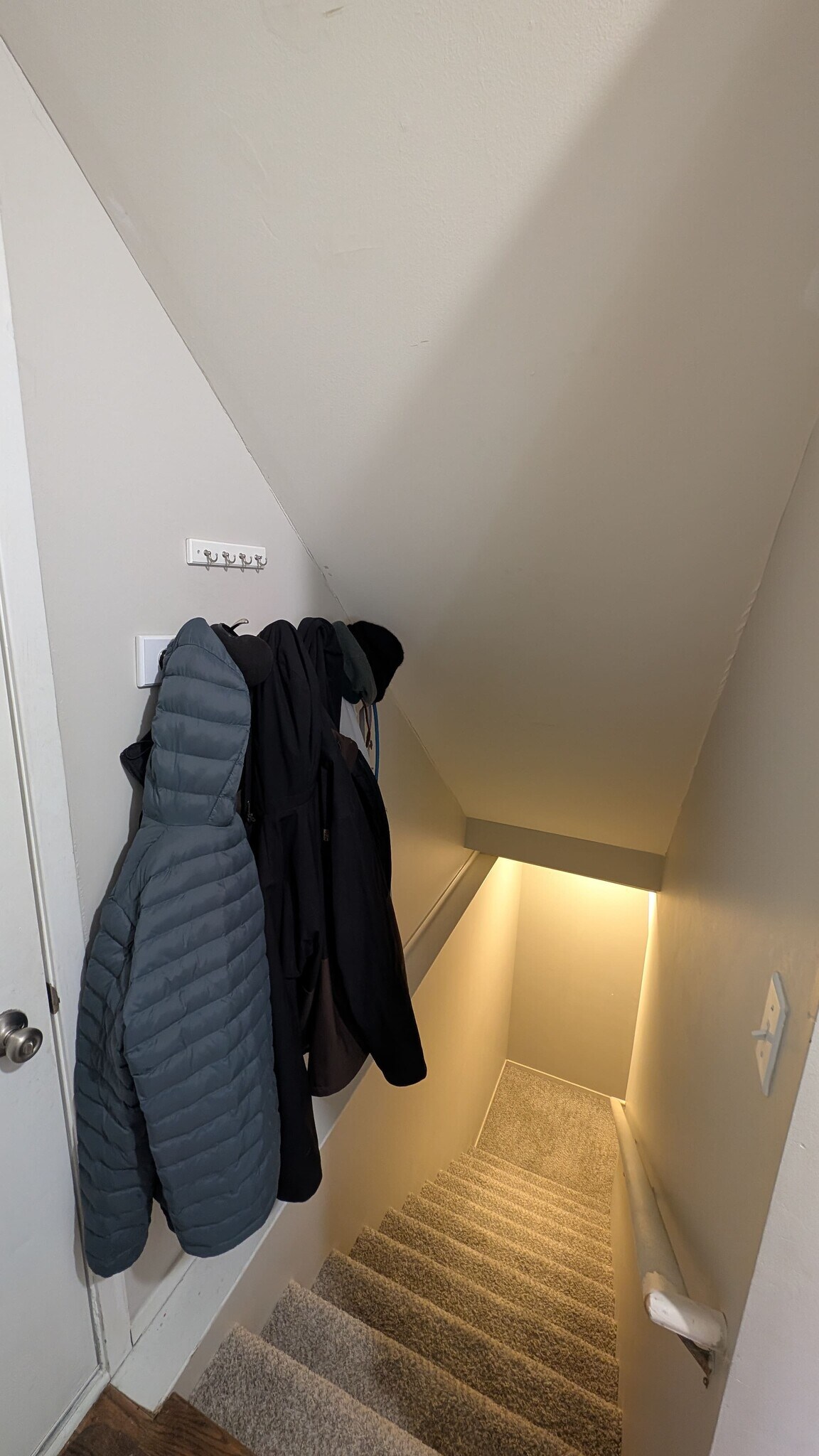 Stairs to basement (garage door on the left) - 1617 Norton Creek Blvd