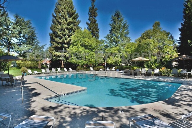 Building Photo - Very nice 2 bed / 2.5 bath / 1,185 sqft Walnut Creek Townhouse in desirable Main Chance Estates D...