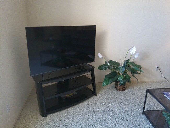 Building Photo - Winter Rental Available October-April 2027