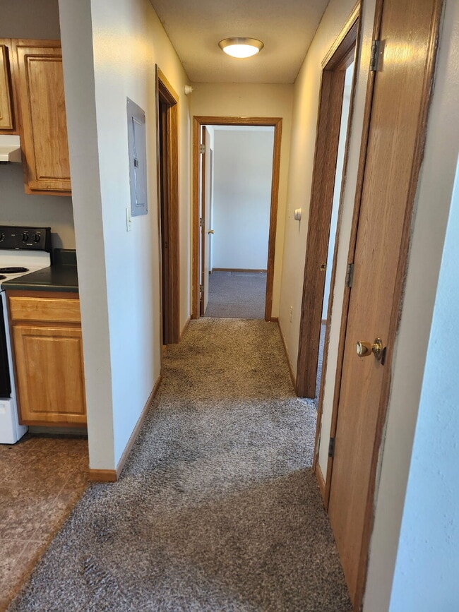Building Photo - *WINTER MOVE-IN SPECIAL* 3 Bedroom | 2 Bathroom 3rd Floor (Top Floor) Unit in Oelwein Available i...