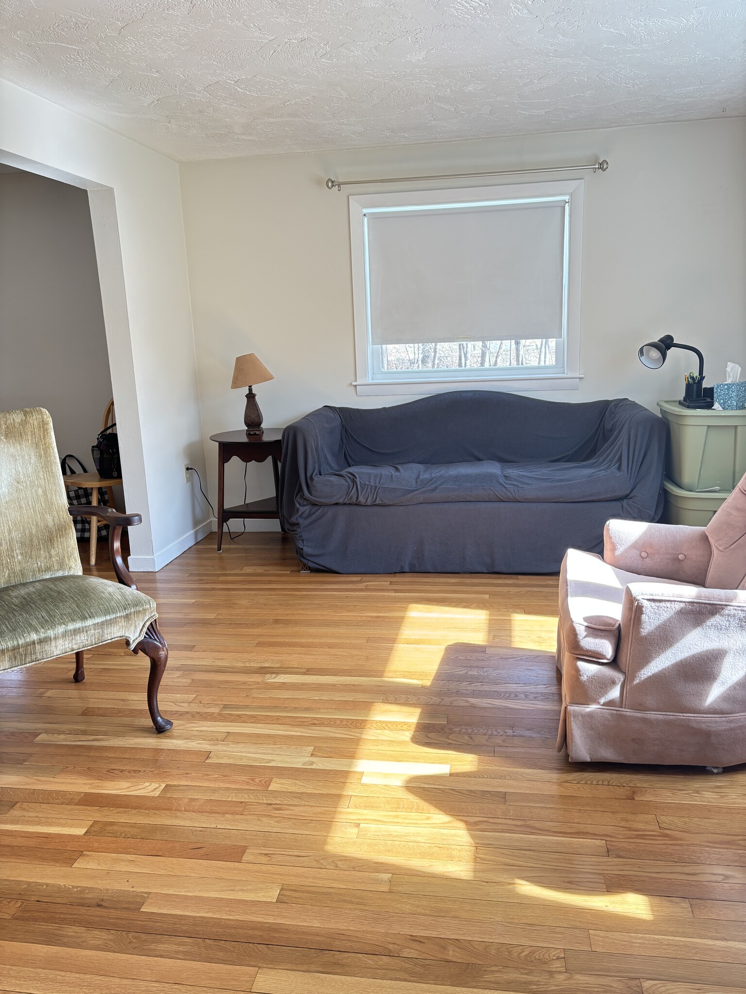 Living Room - 125 Central St