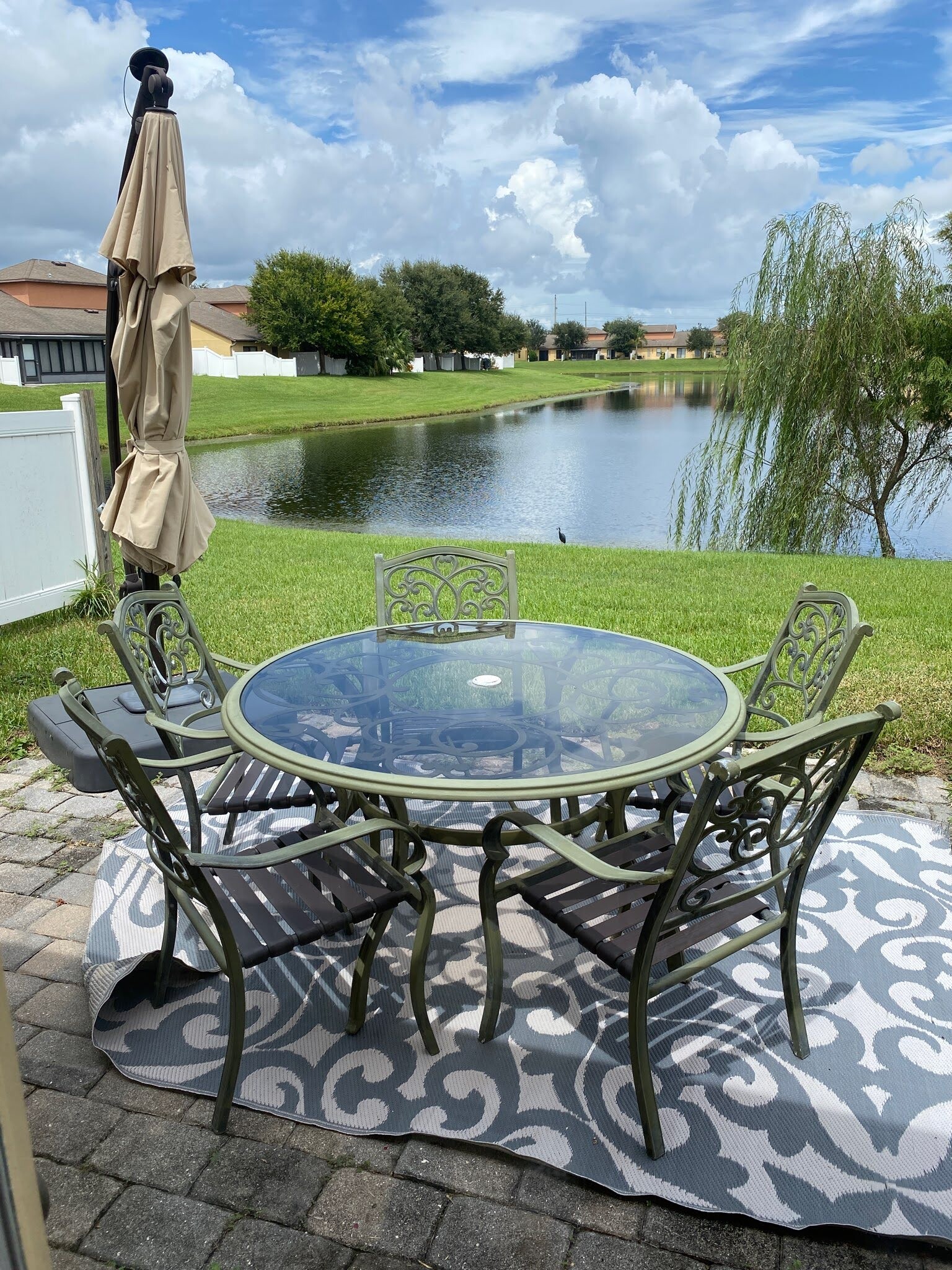 Lake view from Patio - 1055 Luminary Cir