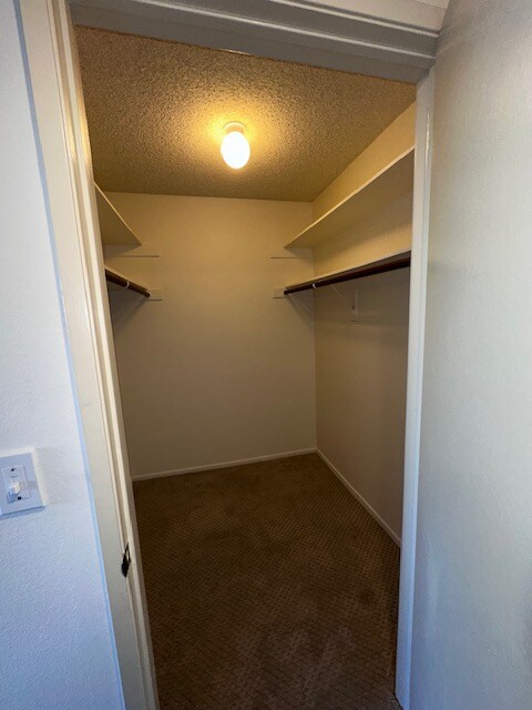 Building Photo - 121 S Swall Dr