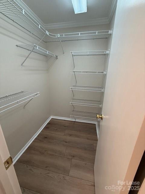 Building Photo - 418 Holland Cir