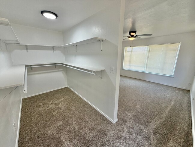 Building Photo - 3 bed Fresh inside!