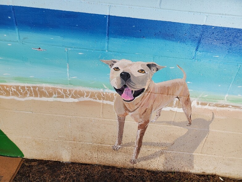 Numerous murals of nature and Numerous murals inspired by Kaneohe life by local artist - 45-217 Lilipuna Rd