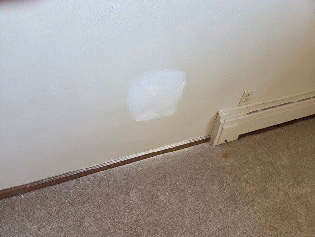 Building Photo - Country Setting, Sprawling Ranch