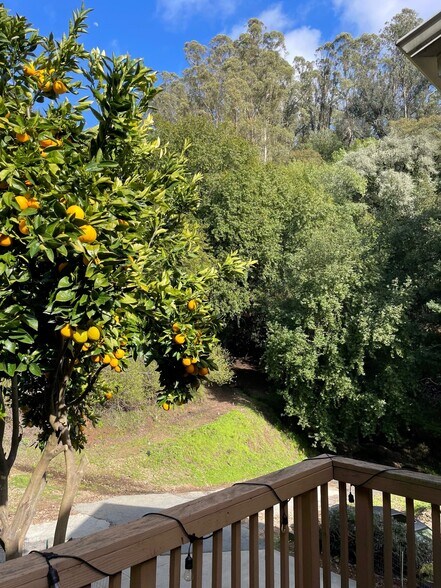 Building Photo - 7181 Thorndale Dr