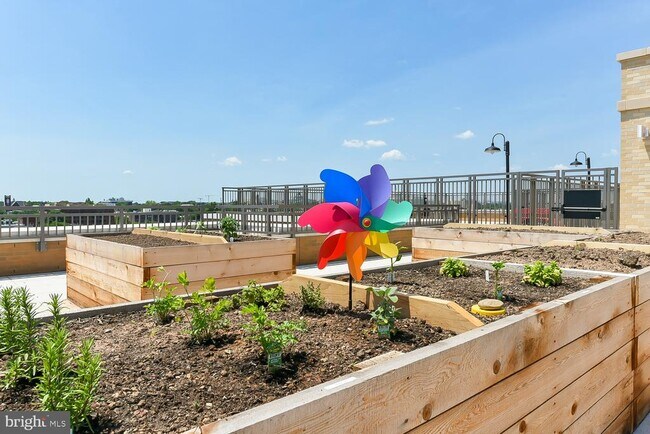 Building Photo - 901 H St NE