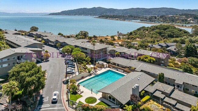 Building Photo - The Best View in Southern Marin! Luxury To...