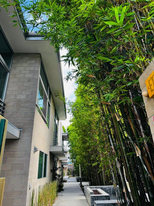 Building Photo - 717 Highland Ave