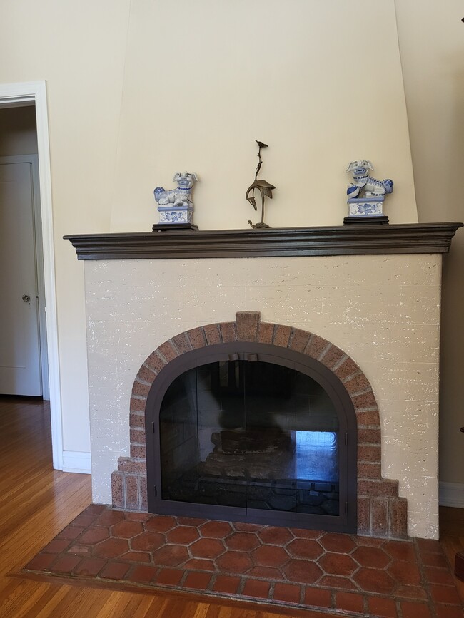 Gas fireplace - 1146 Avoca Ave