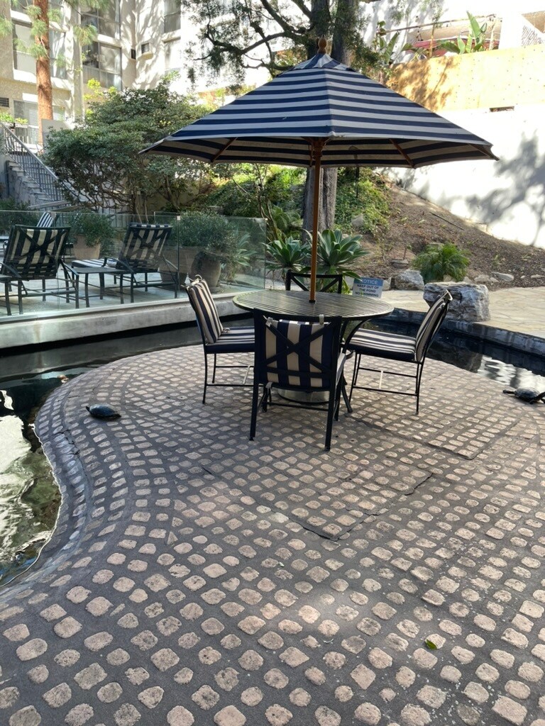 Pond - 1440 Veteran Ave