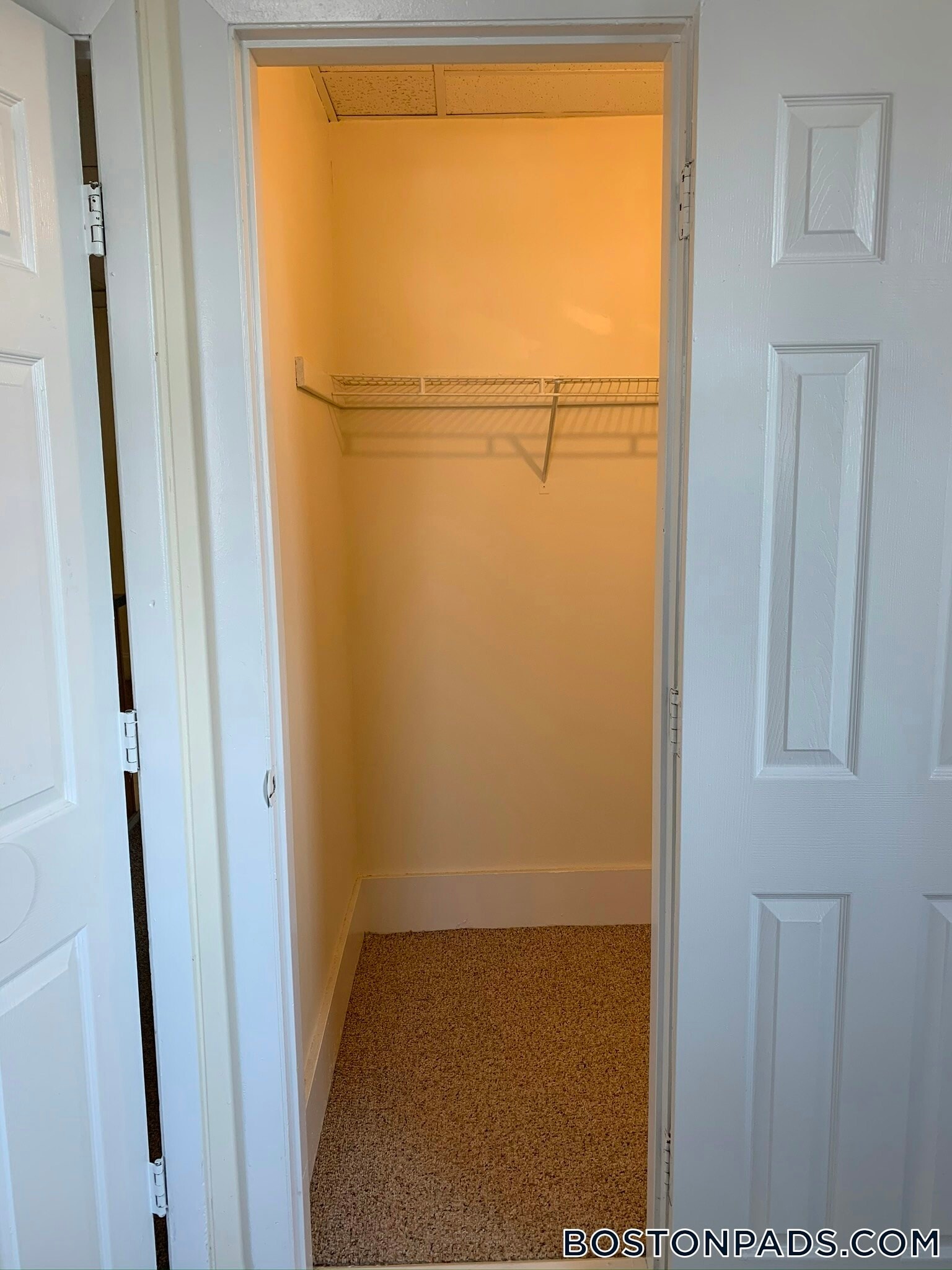 Building Photo - 439 Cambridge St