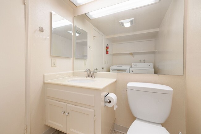 Building Photo - Beautiful large (914 sq feet) 1 bedroom no...