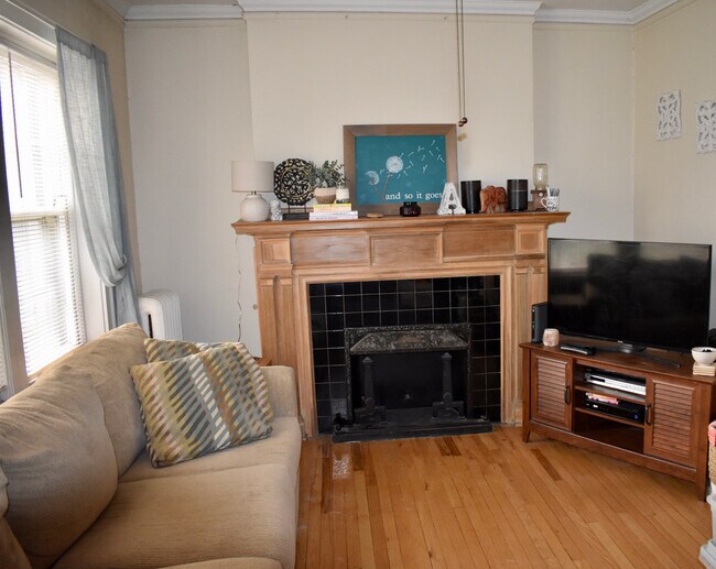 Original fireplace - 212 N Oak Park Ave
