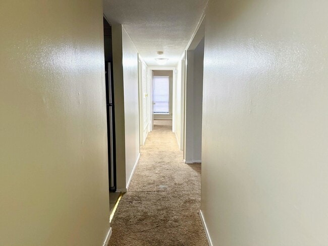 Building Photo - 6571 Poplar Ave