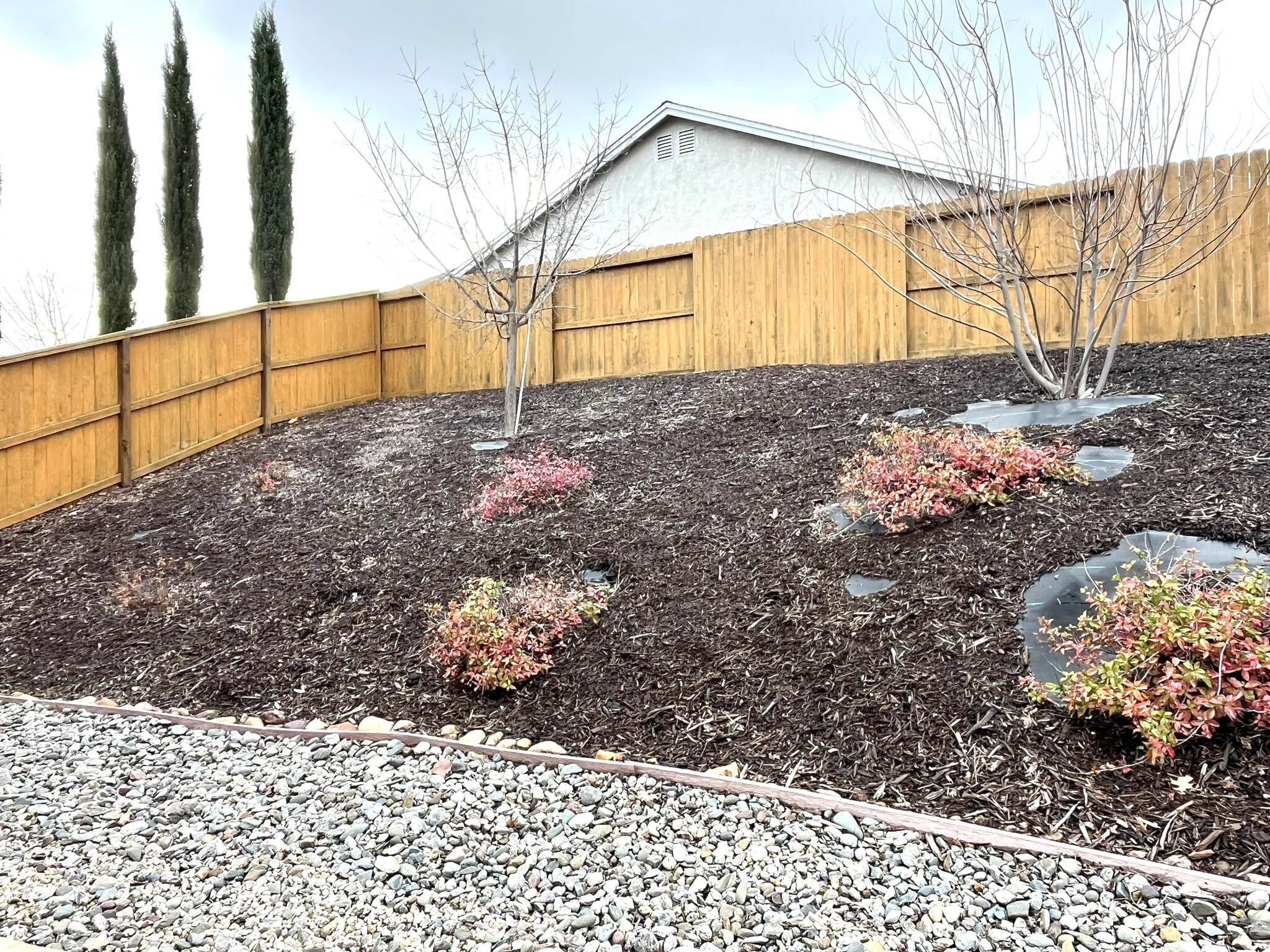 Side Yard - 358 Reddington Dr