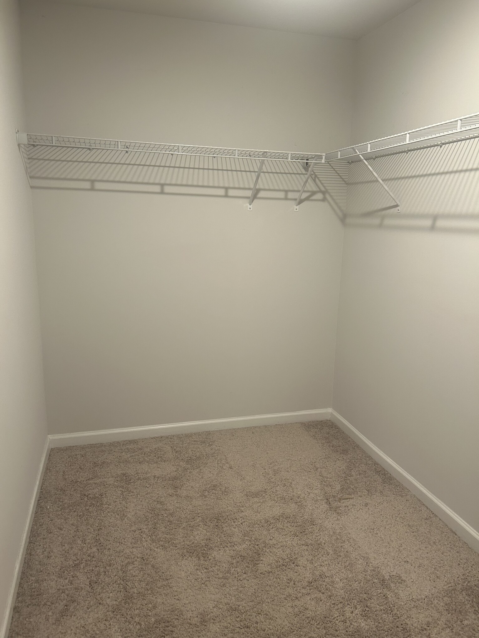 Master Closet - 3315 Hedgeway Ct