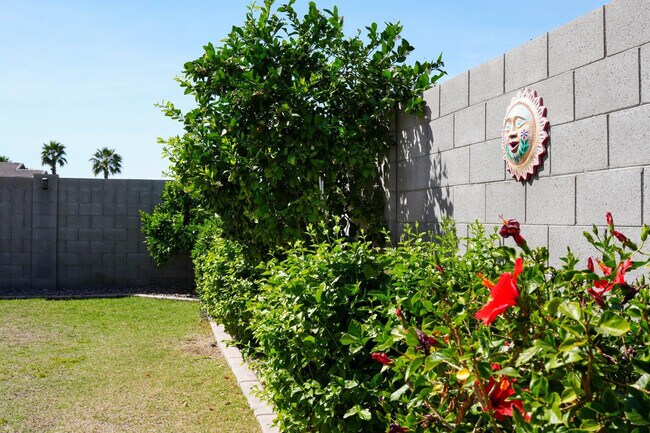 Building Photo - 884 W Whistling Thorn Ave