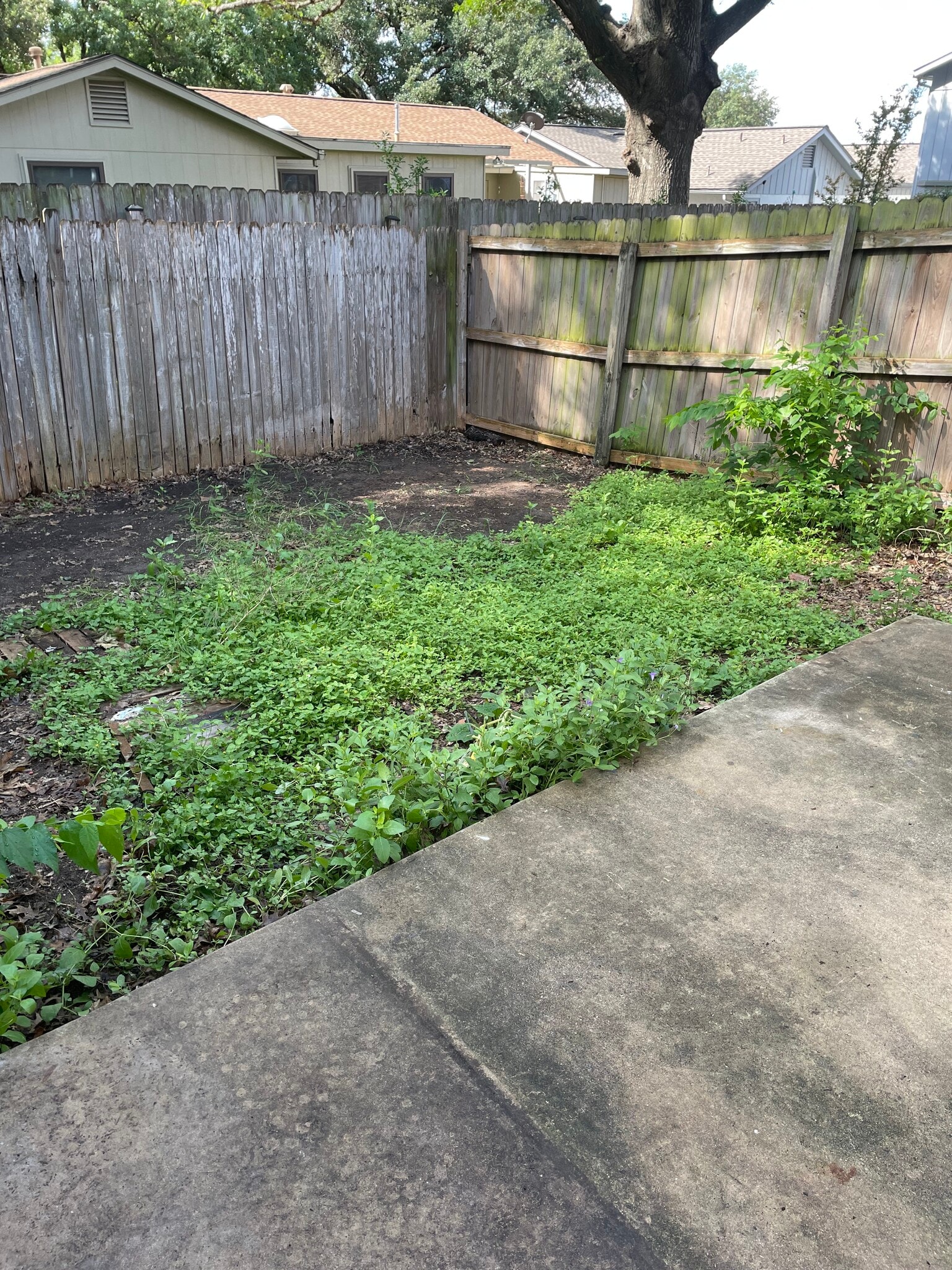 Building Photo - 11136 El Sendero St