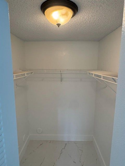 Building Photo - 3221 Sabal Palm Manor