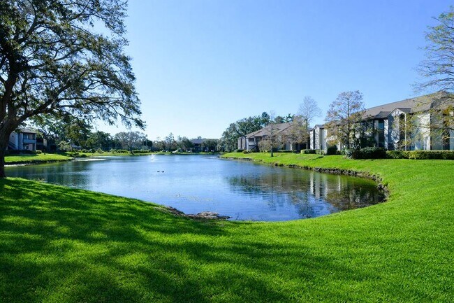 Building Photo - 10265 Gandy Blvd N