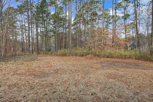 Building Photo - Carolina Lakes!