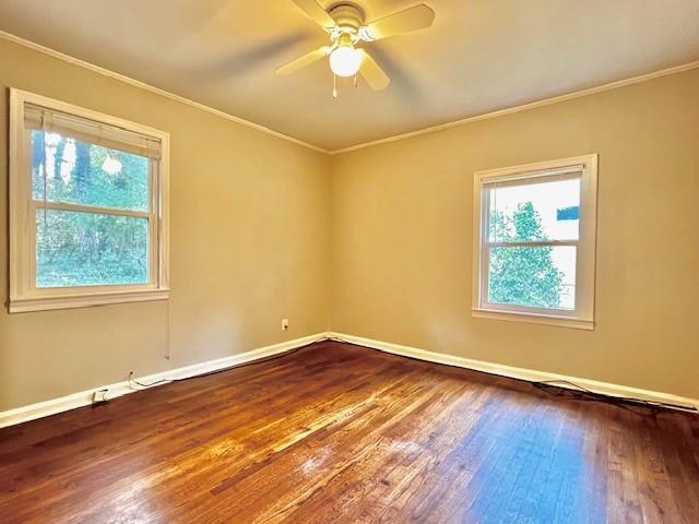 Building Photo - 428 Medlock Rd