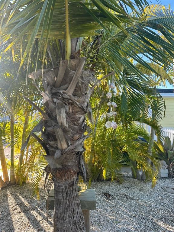 Building Photo - 346 Boca Ciega Dr