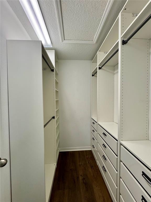 Building Photo - 3536 Brighton Park Cir