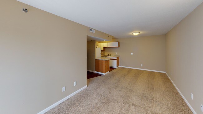 Creekside -Living / Dining Room - Mountain Valley Properties -Carbondale