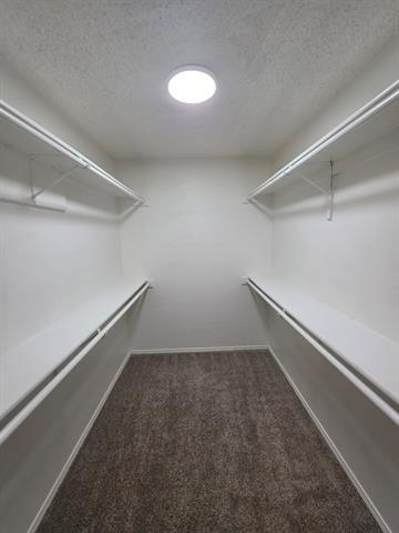 Building Photo - 2858 St Thomas Ln