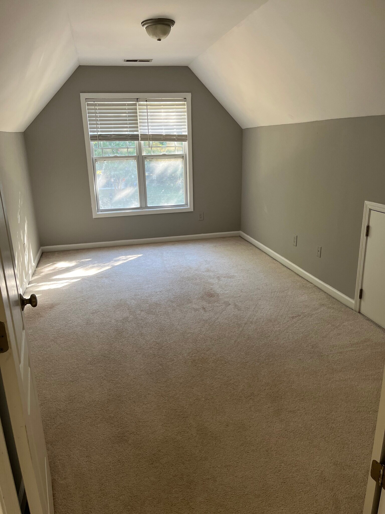 Building Photo - 3409 Sunbright Ln