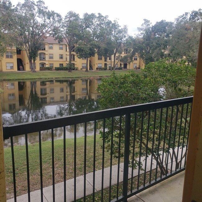 Building Photo - Water view! great 2nd floor 1bed/1bath in desirable Pinnacle at Carrollwood condo