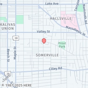 Primary Photo - 213 Belmont St