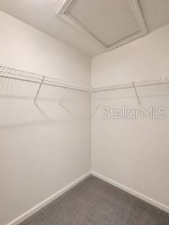 Building Photo - 2212 Grand Cayman Ct