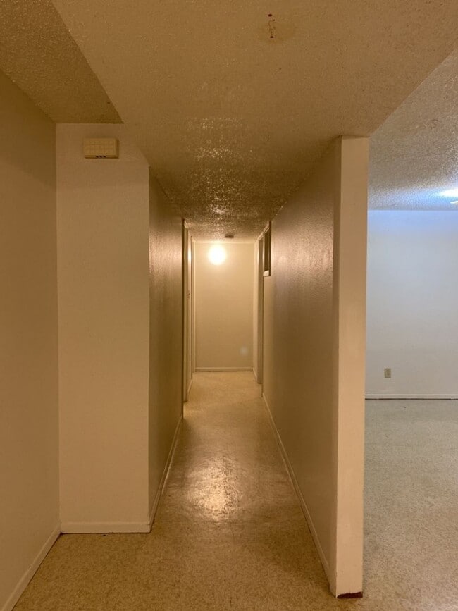 Building Photo - STUDENTS WELCOME! Spacious Basement Apartment 2 Bedroom 1 Bathroom West Fort Collins