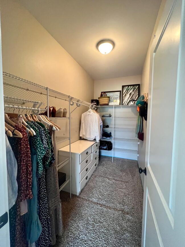 Building Photo - Modern 3 Bedroom Home