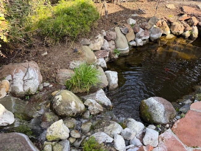 Building Photo - Pleasanton Valley 4 bed, 2 bath with a Unique Touch: Koi Pond