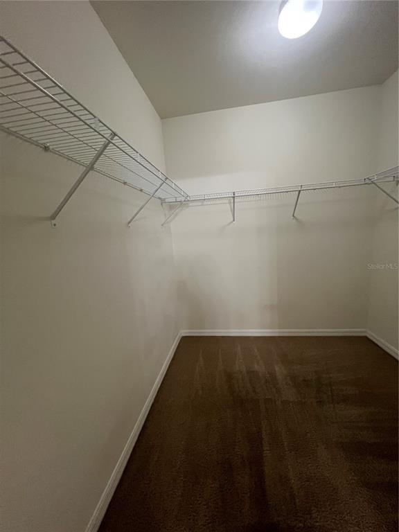Building Photo - 3287 Trentwood Ln