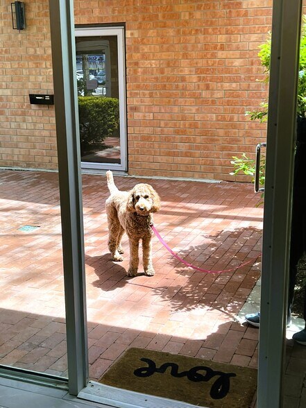 Pet Friendly - 630 Vernon Ave
